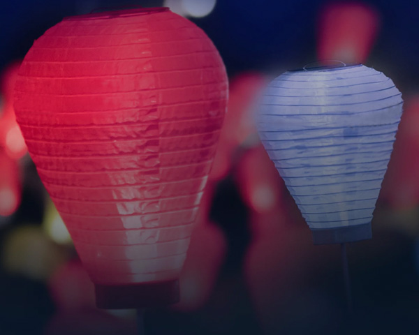 Light The Night featured in Forbes magazine article